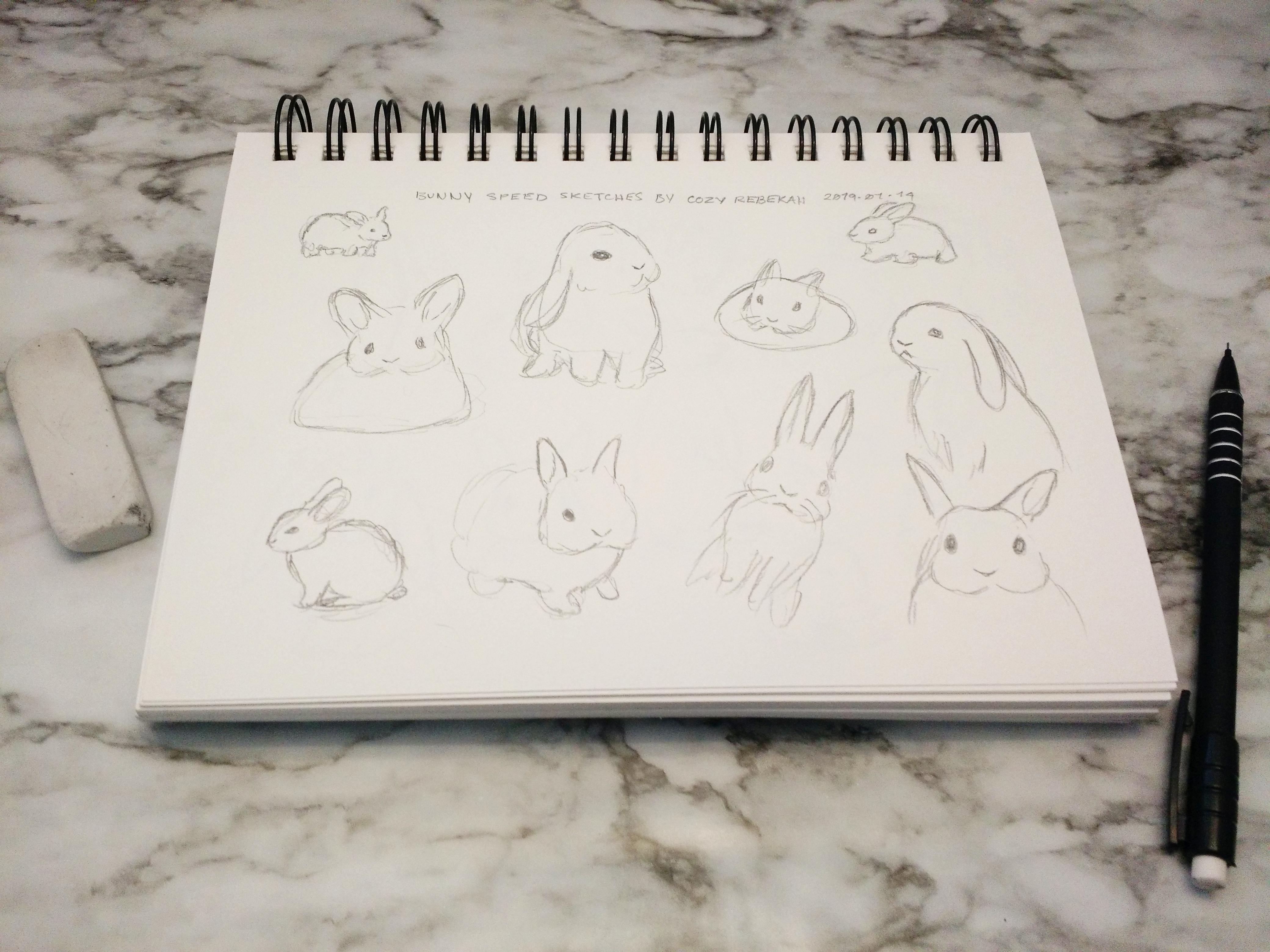 Bunny Sketches #2 by Cozy Rebekah